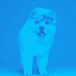 Jazz Piano Duo - Background for Puppy Training Time - Good Dog Music