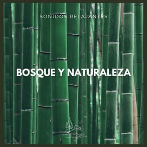 Sonidos Relajantes: Bosque y Naturaleza - Sonido Del Bosque y Naturaleza