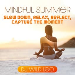 Mindful Summer: Slow Down, Relax, Reflect, Capture the Moment - DJ Wild Leo