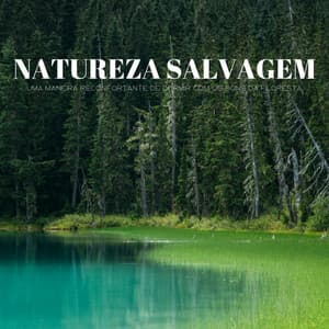 Natureza Salvagem: Uma Maneira Reconfortante De Dormir Com Os Sons Da Floresta - 1 Hora de Meditação