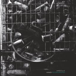 Expedition Vol. 8: Yellow Dolphin - dude26