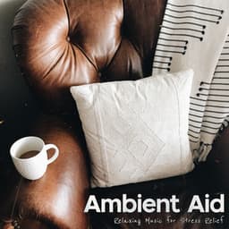Ambient Aid - Empty Ritual