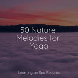 50 Nature Melodies for Yoga - Zen