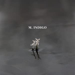 Pulse of Exhalation - M. Indigo