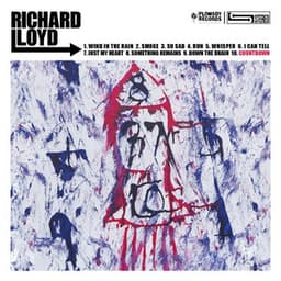 The Countdown - Richard Lloyd