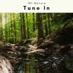A Tune In - 101 Nature
