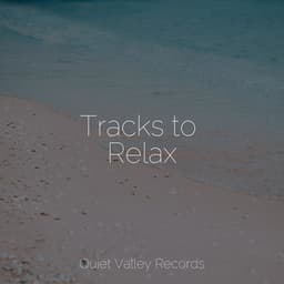 Tracks to Relax - Rain Storm Sample Library
