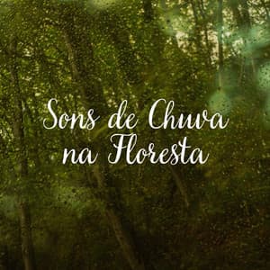 Sons de Chuva na Floresta - Chuva Para Dormir