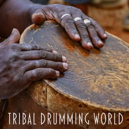 Tribal Drumming World - Daniel Shanti