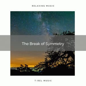 The Break of Symmetry - Cosmic Space Traveler