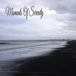 Moments Of Serenity - Relaxing Music