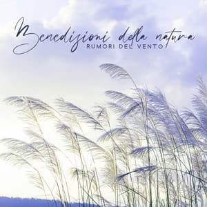 Benedizioni della natura: Rumori del vento, Musica rilassante per dormire e contemplazioni - Meditazione zen musica