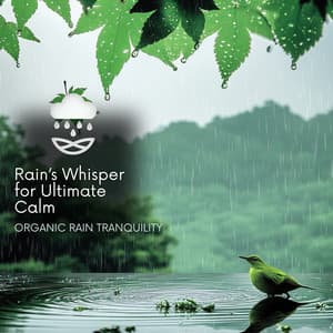 Rain’s Whisper for Ultimate Calm - Organic Rain Tranquility