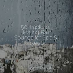 50 Tracks of Healing Rain Sounds for Spa & Sleep - Nature Sound Collection