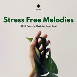 Stress Free Melodies: 2020 Peaceful Music for Inner Soul - Ambient 11