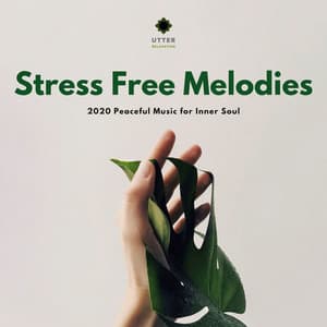 Stress Free Melodies: 2020 Peaceful Music for Inner Soul - Ambient 11