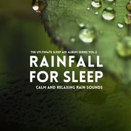 Calm and Relaxing Rain Sounds - Rainfall For Sleep