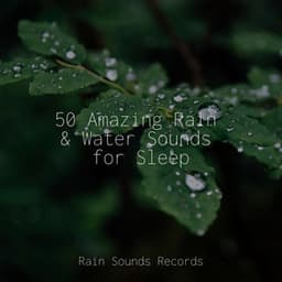 50 Amazing Rain & Water Sounds for Sleep - Musica de Relajación Academy