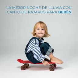 La Mejor Noche De Lluvia Con Canto De Pájaros Para Bebés - Sol y Lluvia