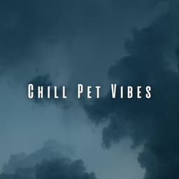 Chill Pet Vibes: Rainy Day Serenade with Chill Music - Danny Rainsounds