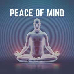 Peace of Mind - Zen Arena
