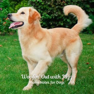 Woofin' Out with Jazz: Piano Notes for Dogs - Lounge Bar New York