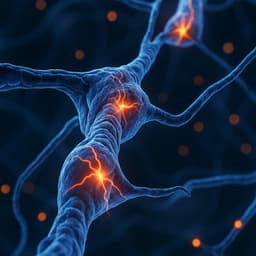 Nervous System Regulation Stop Neurosis & Total Stress Relief - Stress Relief Calm Oasis