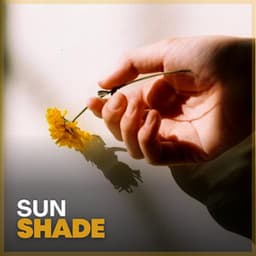 Sun Shade - Rain Sounds FX