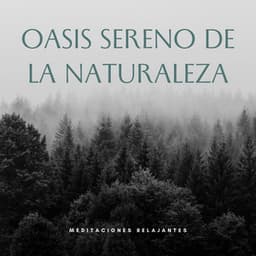 Oasis Sereno De La Naturaleza: Meditaciones Relajantes - Paz Nirvana
