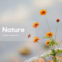 Serenity in Nature’s Pulse - Nature's Frequencies