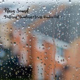 Rain Sound: Pattering Raindrops Across Window Vol. 1 - Dogs Music Therapy