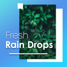 Fresh Rain Drops - Rain Sounds & Nature Sounds