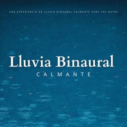 Una Experiencia De Lluvia Binaural Calmante Para Los Gatos - Astro laboratorio binaural