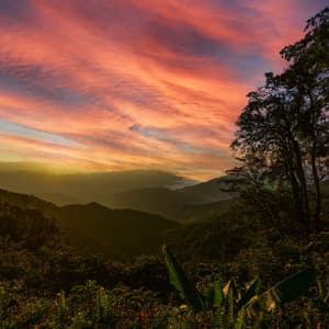 Dawn of Creation: Nature's Inspirational Harmonies - Matter and Energy