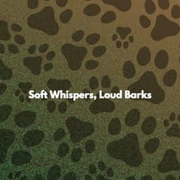 Soft Whispers, Loud Barks - Soft Alternative Lounge Jazz