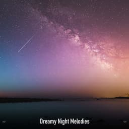 !!!!" Dreamy Night Melodies "!!!! - LO-FI BEATS