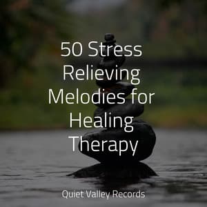 50 Stress Relieving Melodies for Healing Therapy - Wave Sound Group