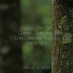 Colección 50 Sleep: Sonidos Simplemente Puros Para Spa - Musica de Piano Escuela