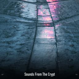 !!!!" Sounds From The Crypt "!!!! - Halloween Music