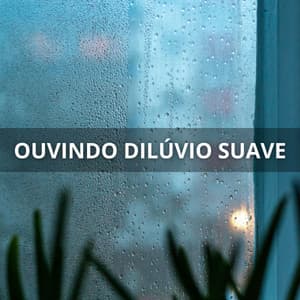 Ouvindo Dilúvio Suave - Experiência Musical Romântica