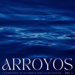 Arroyos: La Corriente De Un Arroyo Para La Relajación Vol. 1 - Camino del agua