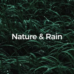 50 Relaxation Nature & Rain Sounds - White Noise Relaxation