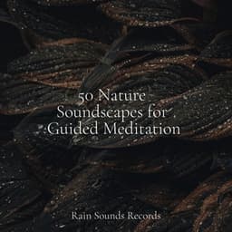 50 Nature Soundscapes for Guided Meditation - Sea Waves Sounds