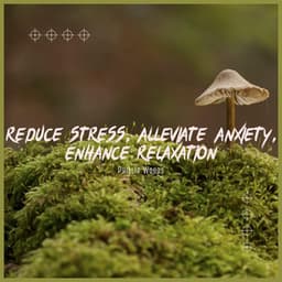 Reduce Stress, Alleviate Anxiety, Enhance Relaxation - Phillip Woods