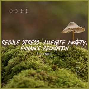 Reduce Stress, Alleviate Anxiety, Enhance Relaxation - Phillip Woods