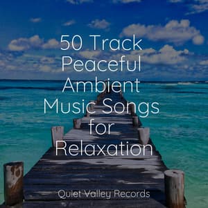50 Track Peaceful Ambient Music Songs for Relaxation - Natural Rain Sounds for Sleeping