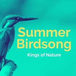Summer Birdsong - Kings of Nature