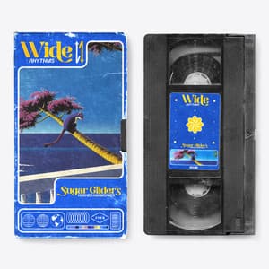 Wide Rhythms: Sugar Glider's Hushed Harmonics - Dog Music Club