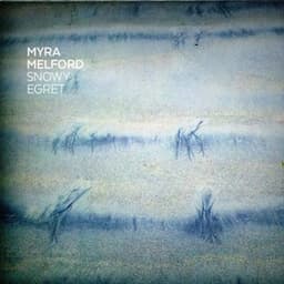 Snowy Egret - Myra Melford