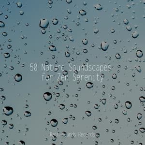 50 Nature Soundscapes for Zen Serenity - MEDITATION SPA